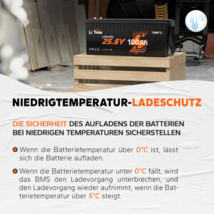 LiTime 25.6V 100Ah | LiFePO₄ | 2.56 KWh | 100A BMS | Low Temp Protection | Bluetooth
