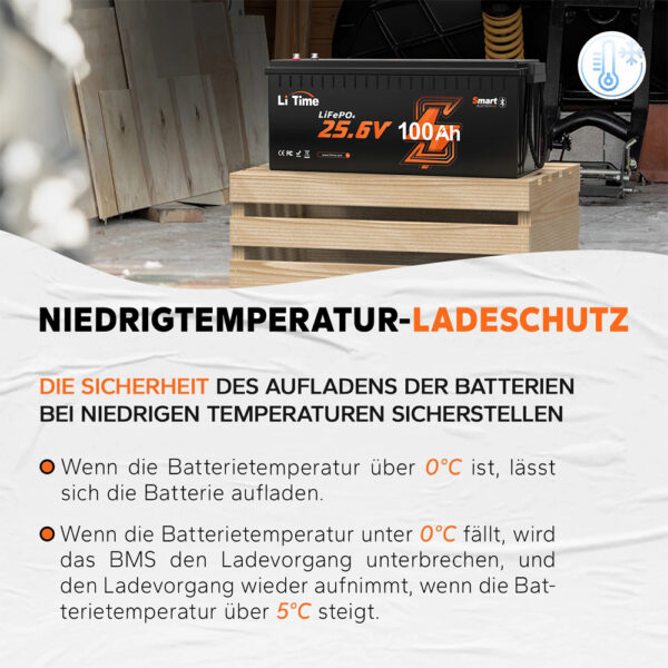 LiTime 25.6V 100Ah | LiFePO₄ | 2.56 KWh | 100A BMS | Low Temp Protection | Bluetooth