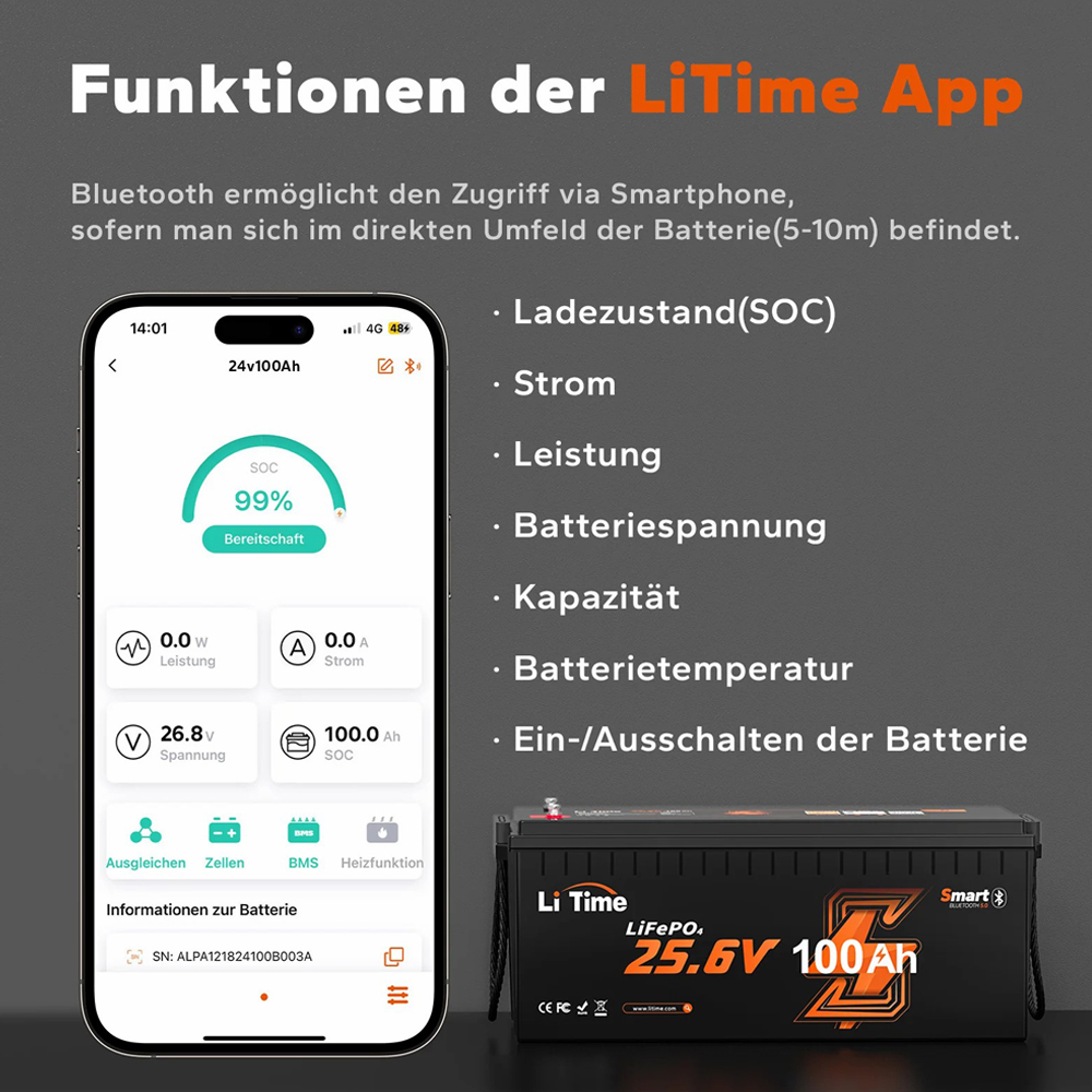 LiTime 25.6V 100Ah | LiFePO₄ | 2.56 KWh | 100A BMS | Low Temp Protection | Bluetooth