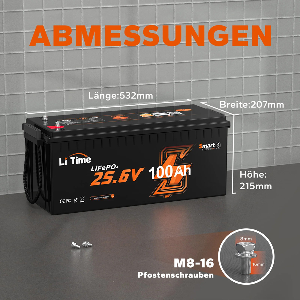 LiTime 25.6V 100Ah | LiFePO₄ | 2.56 KWh | 100A BMS | Low Temp Protection | Bluetooth